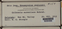 Image Associated With the Occurence